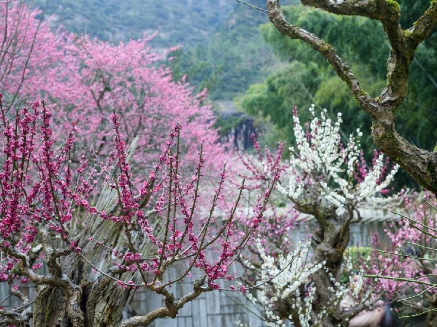 金兰朗诵【秋冬之恋】作者/五彩云霞