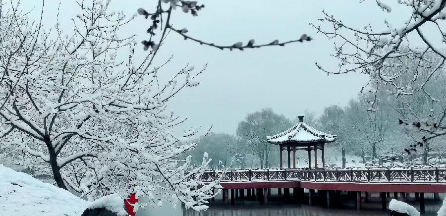 恬淡静雅朗诵【三月飞雪】作者/五彩云霞（图7）