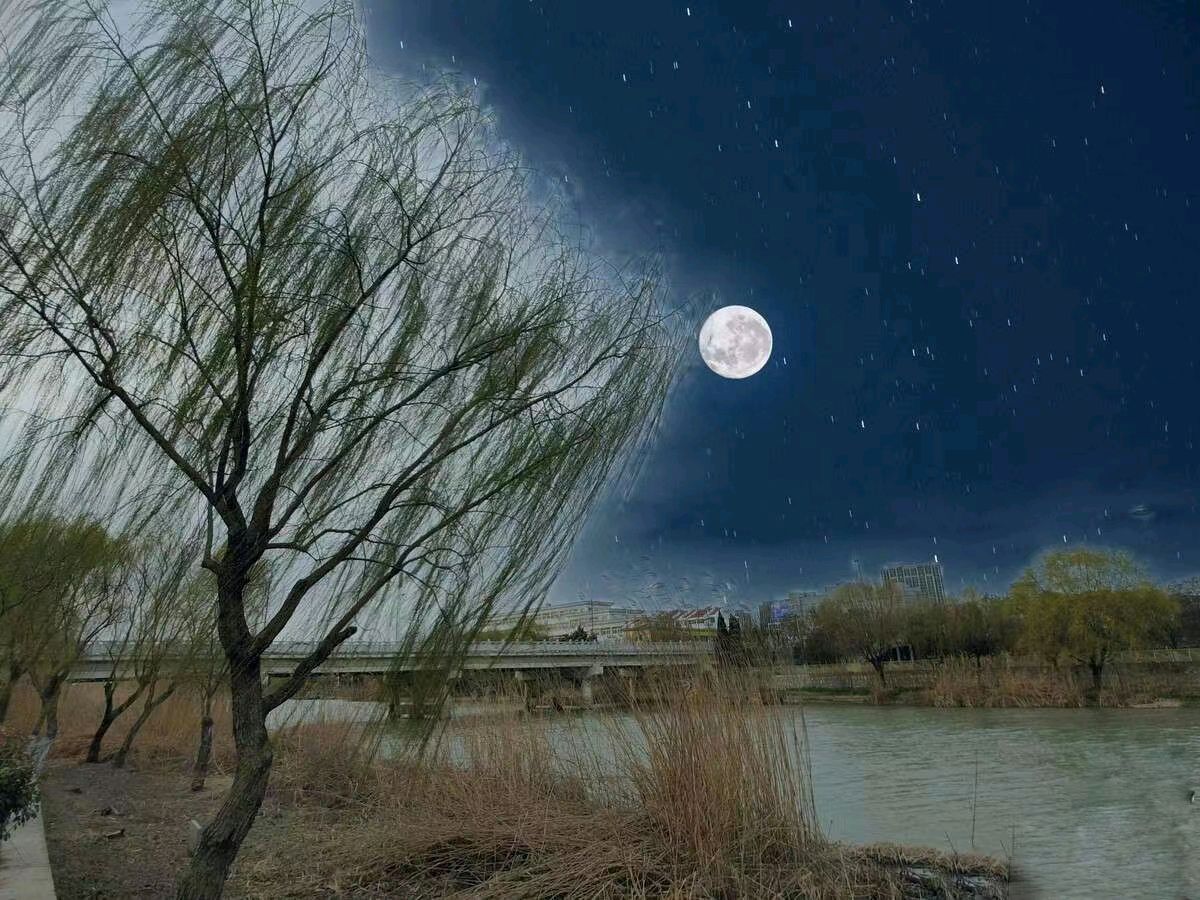《你总是说》文／韦建中（湖北）【冰心文化传媒】主编 冰心（图7）
