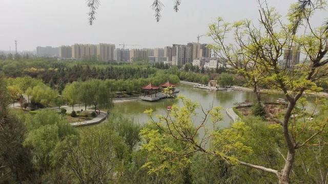 华夏流水诗社Ⅱ常驻诗人王俊杰老师专辑（图2）