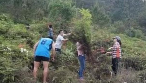 孙文:东北风之十一《炊烟织出的彩带》‖巴彦诗协诗词联卷【368】(图5)