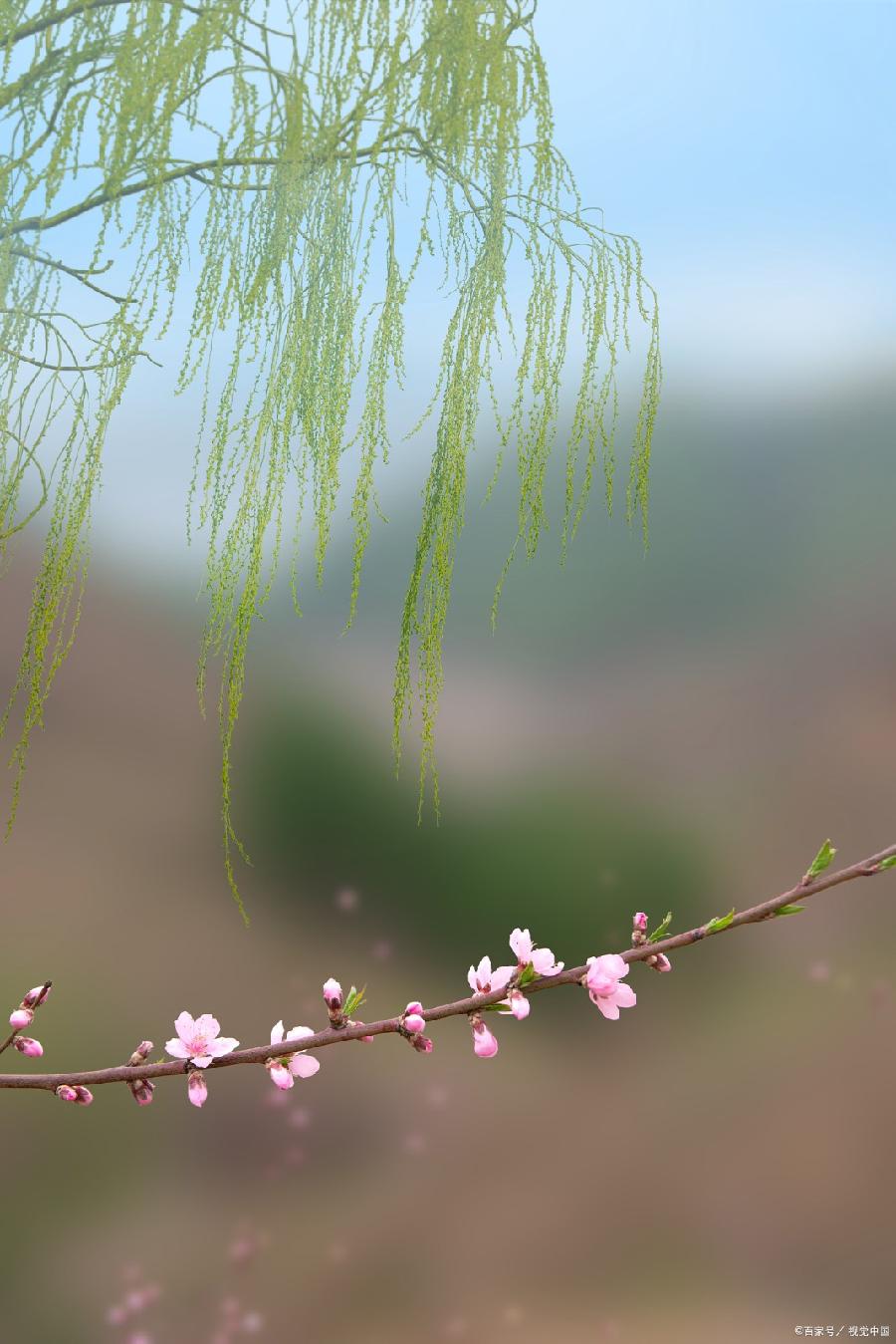 九班长朗诵【春天的脚步】作者/王全新（图5）