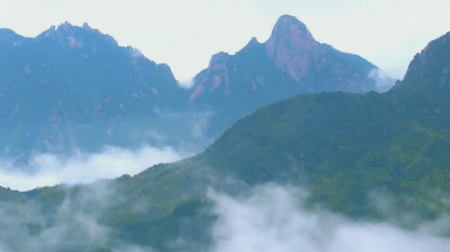 〖诗歌小辑〗杂诗忆记 作者 橄榄树（纽约）(十)【冰心文化传媒】总编:冰心（中国）（图8）