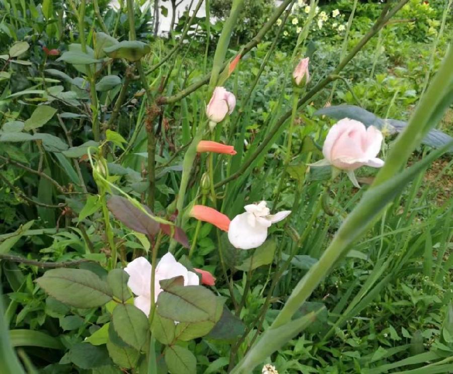 05 05