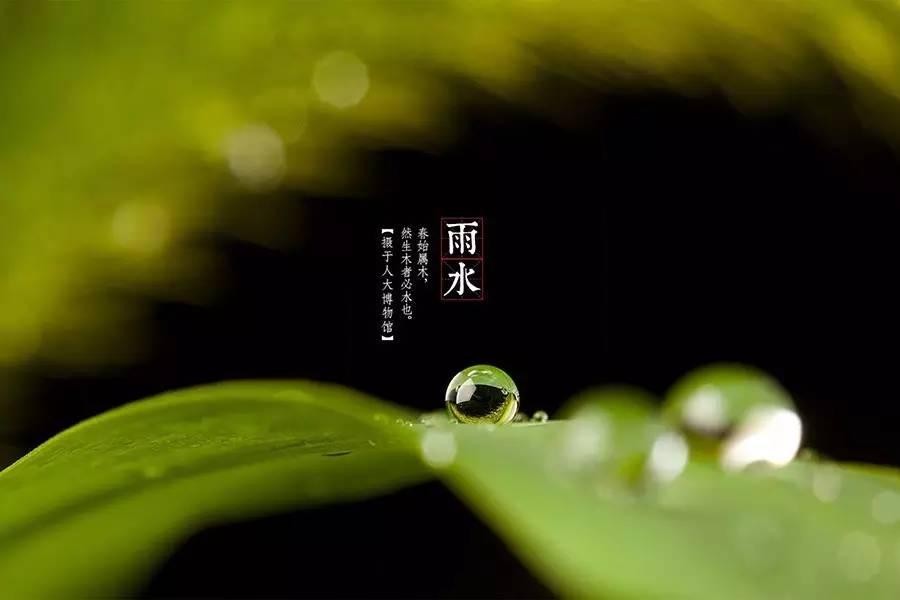 牛丽君朗诵【二十四节气系列小知识~雨水】文字整理/牛丽君(图4)