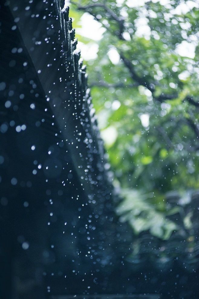牛丽君朗诵【二十四节气系列小知识~雨水】文字整理/牛丽君(图9)
