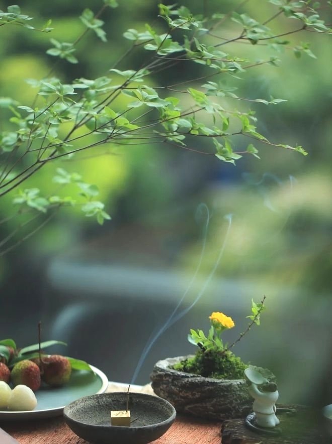 唐梦诗歌《在运河边品茶》主播：晨光暖阳；编辑：小鱼儿 【运河之春】（第004期）（图3）