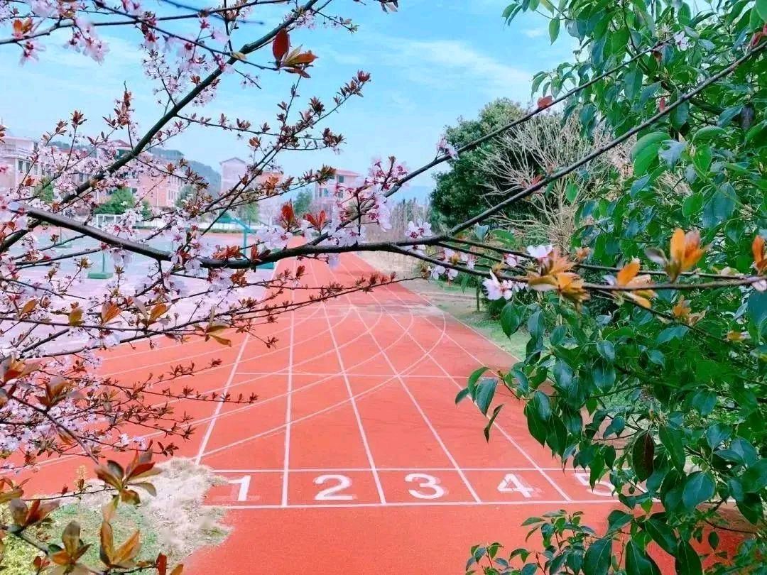 【美文美诵】《春天的芳香》作者/李俊世 诵读/雯煜 编辑/雨杉【花雨馨声】【第224期】（图5）