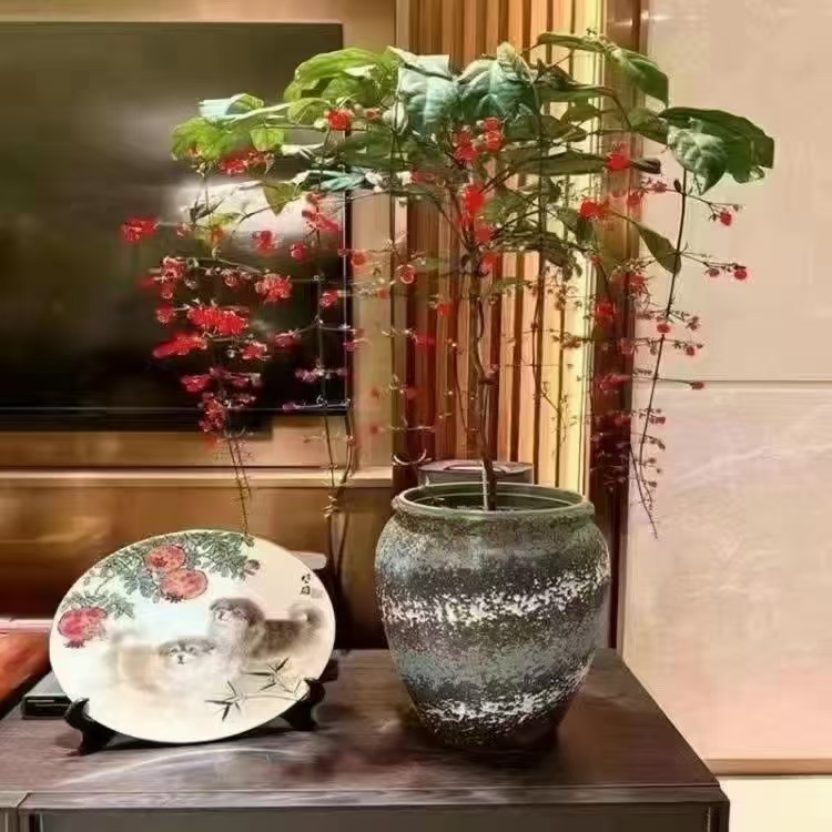 【岁月】文/谦诚