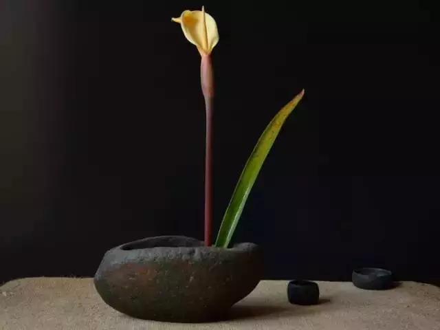 【岁月】文/谦诚(图6)