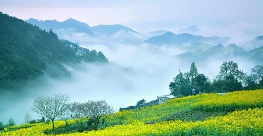 恬淡静雅朗诵【初春的等待‖背篓】作者/旷野野草（图4）