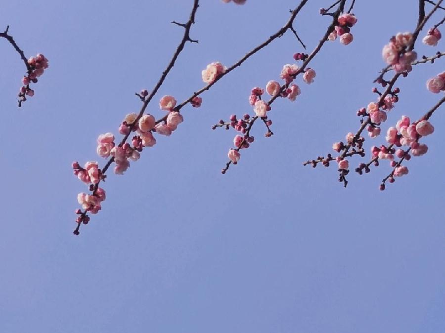 琦琦赵朗诵【患难好弟兄】作者/王胜利（图6）