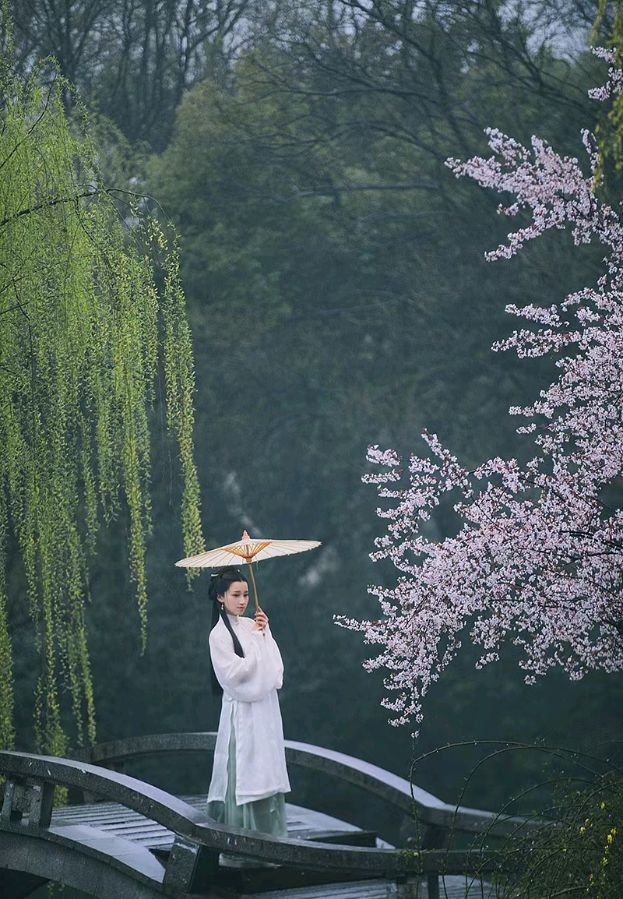 【中华诗艺黑龙江分社】推介/雪山飞狐:金错刀·喜烟雨（叶李体）（图4）