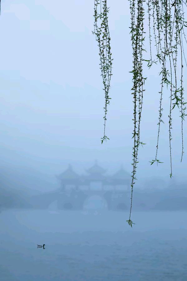 【中华诗艺黑龙江分社】推介/雪山飞狐:金错刀·喜烟雨（叶李体）（图8）