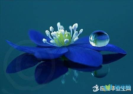 弘华朗诵【沁园春*母亲百日祭】作者/白黎东（图4）