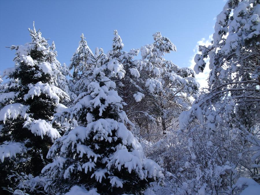 春的旋律之三:董文超诗歌精选《春雪》‖巴彦诗协诗词联卷【381】(图6)