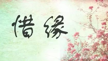 【新诗大观】惜缘||文/治辉