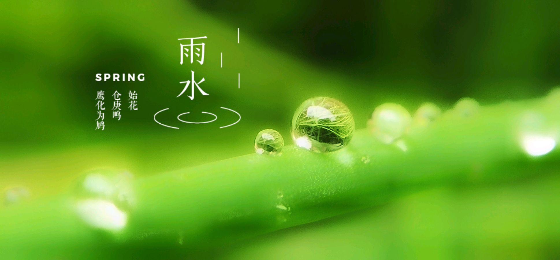 〖诗词小辑〗王香谷（悉尼）【冰心文化传媒】主编 冰心（图11）