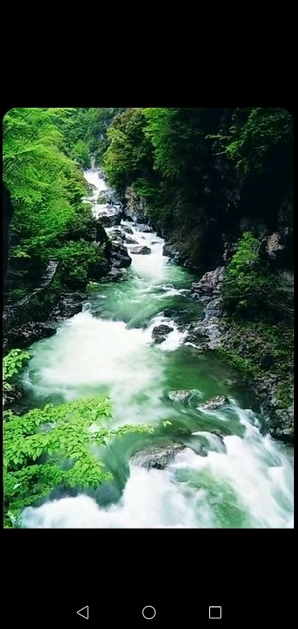 张玲（河南）：《初春》