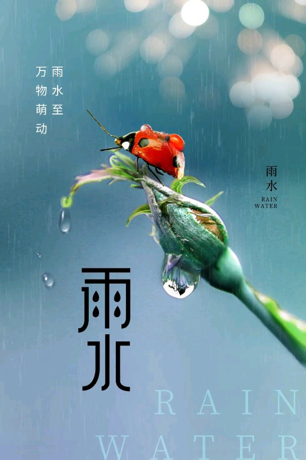 张玲（河南）：《初春》（图2）