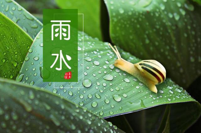 雨水 文/ 王开利