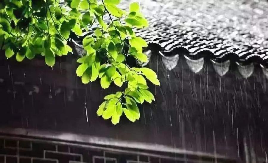 凤凰之歌朗诵【雨水抒怀】作者/王胜利（图6）