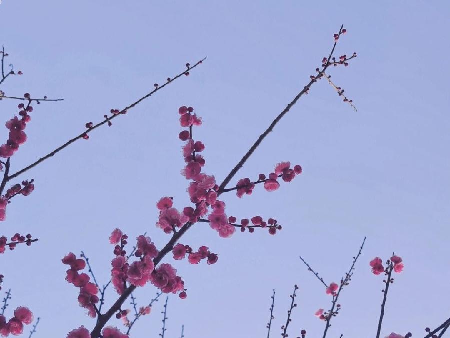 高虹朗诵古诗词【春雨春情】五首（图5）