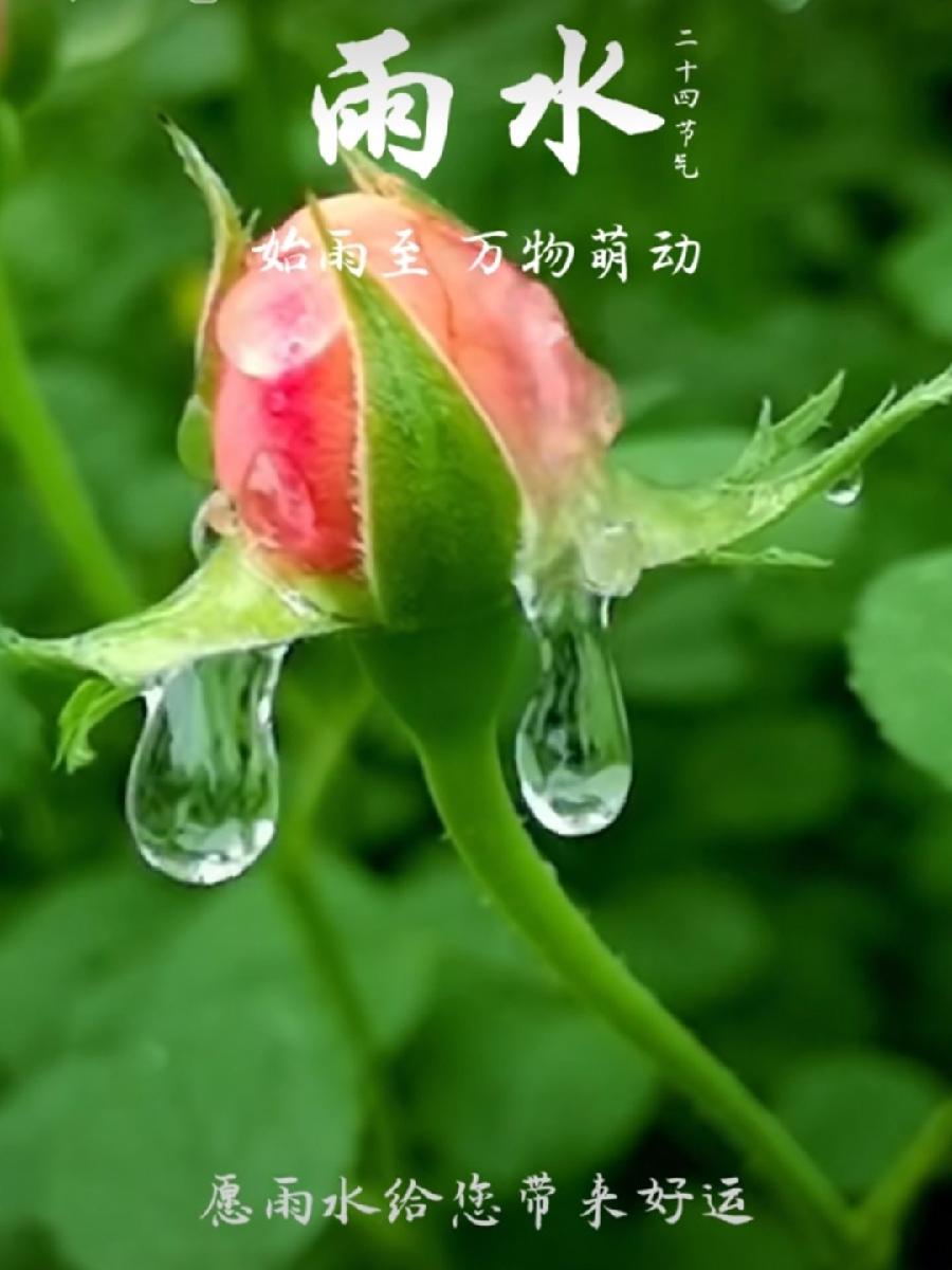 《九江文学社：有声文学平台》《名家专刊》王楼先生佳作欣赏（图2）