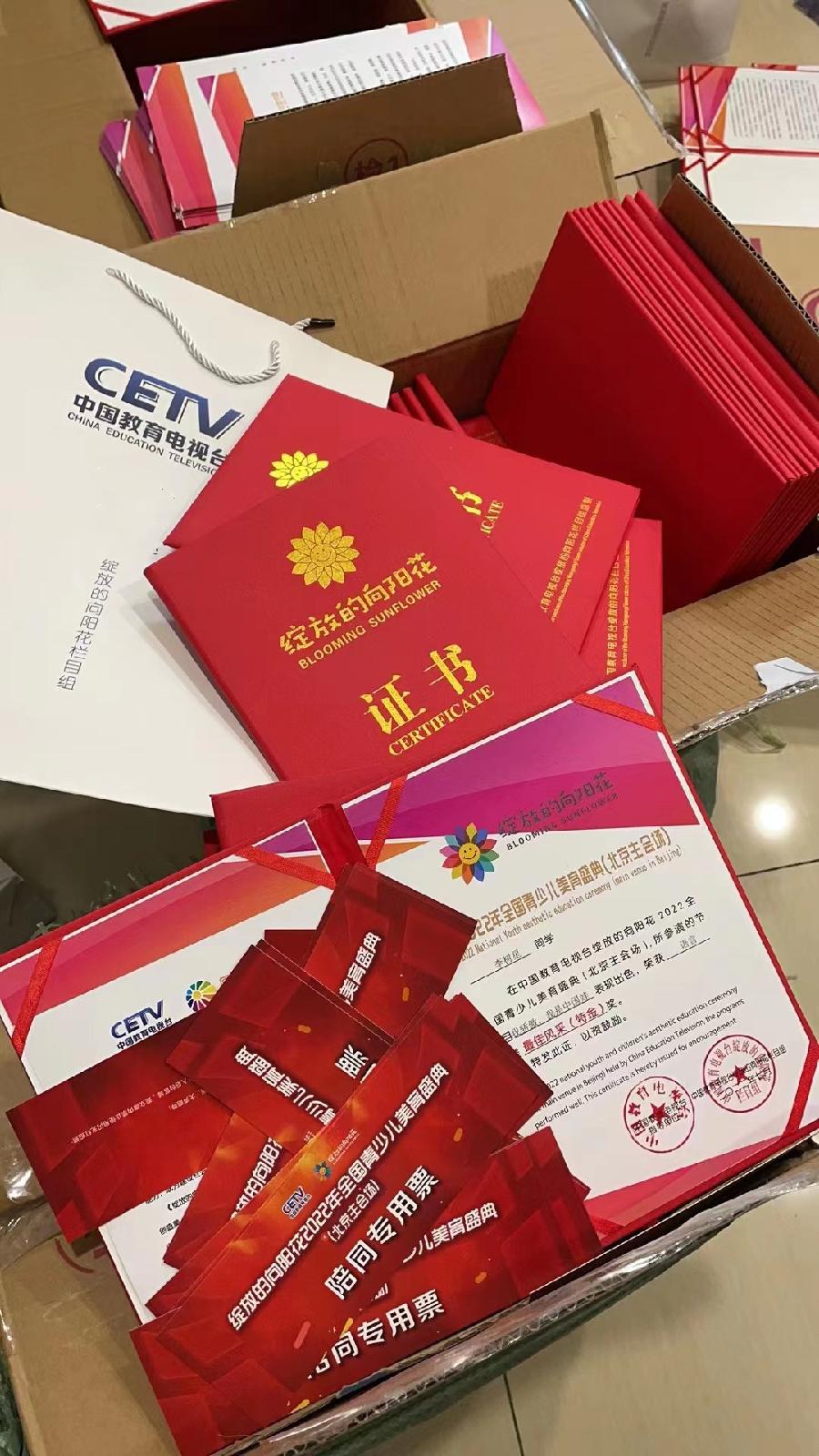 征集令|《绽放的向阳花》中国教育电视台卫视频道【2023全国青少儿美育成果展演】节目征集(图7)