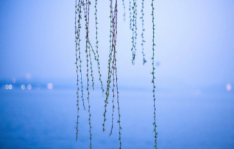 春的旋律之五：雨水‖巴彦诗协诗词联卷【385】（图4）