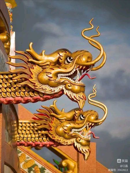 焦勇力作《龙》妙琪倾情诵读（图7）
