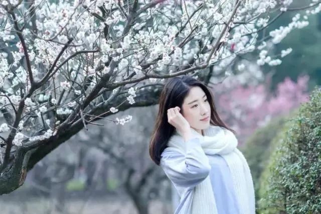 若梅花开：风和日丽山水醒 春到人间万物生（图4）