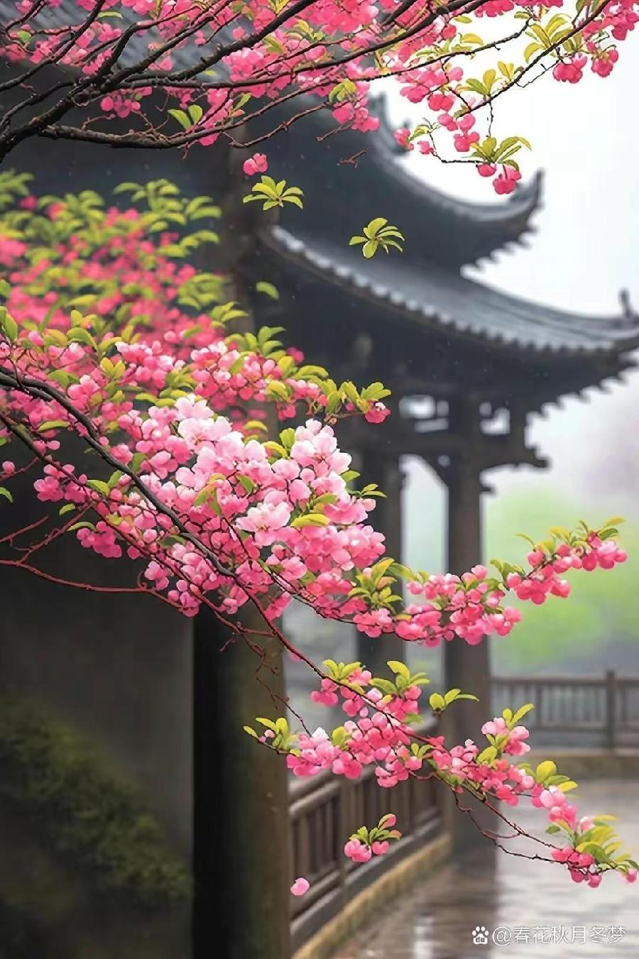 经典诗文 ‖【我和春风有个约会】作者/周文莉 朗诵/宋维东