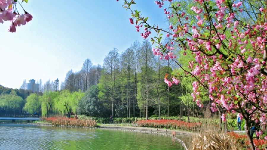 《九江文学社：北京头条》著名艺术家沈志昂先生美篇集粹欣赏（图15）