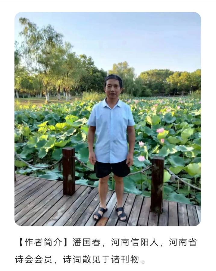 【上海头条】诗生活‖诗歌三人行156期（图4）