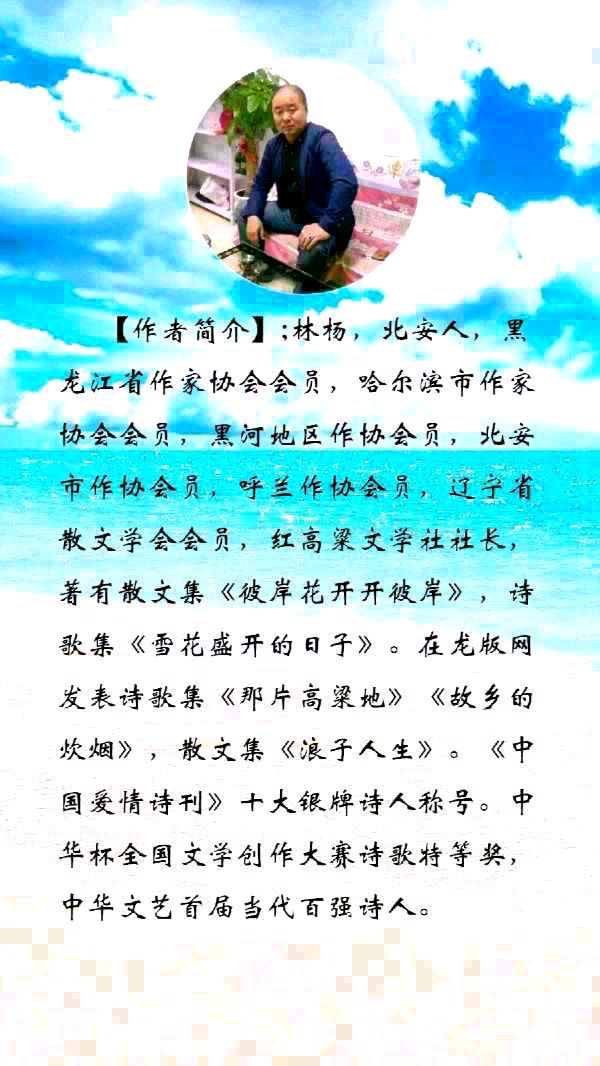 中华诗艺黑龙江分社●诗词微刊(二)(图13)