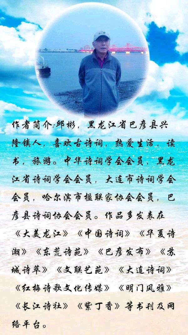 中华诗艺黑龙江分社●诗词微刊(二)(图27)