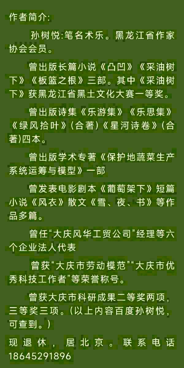 中华诗艺黑龙江分社●诗词微刊(二)(图53)