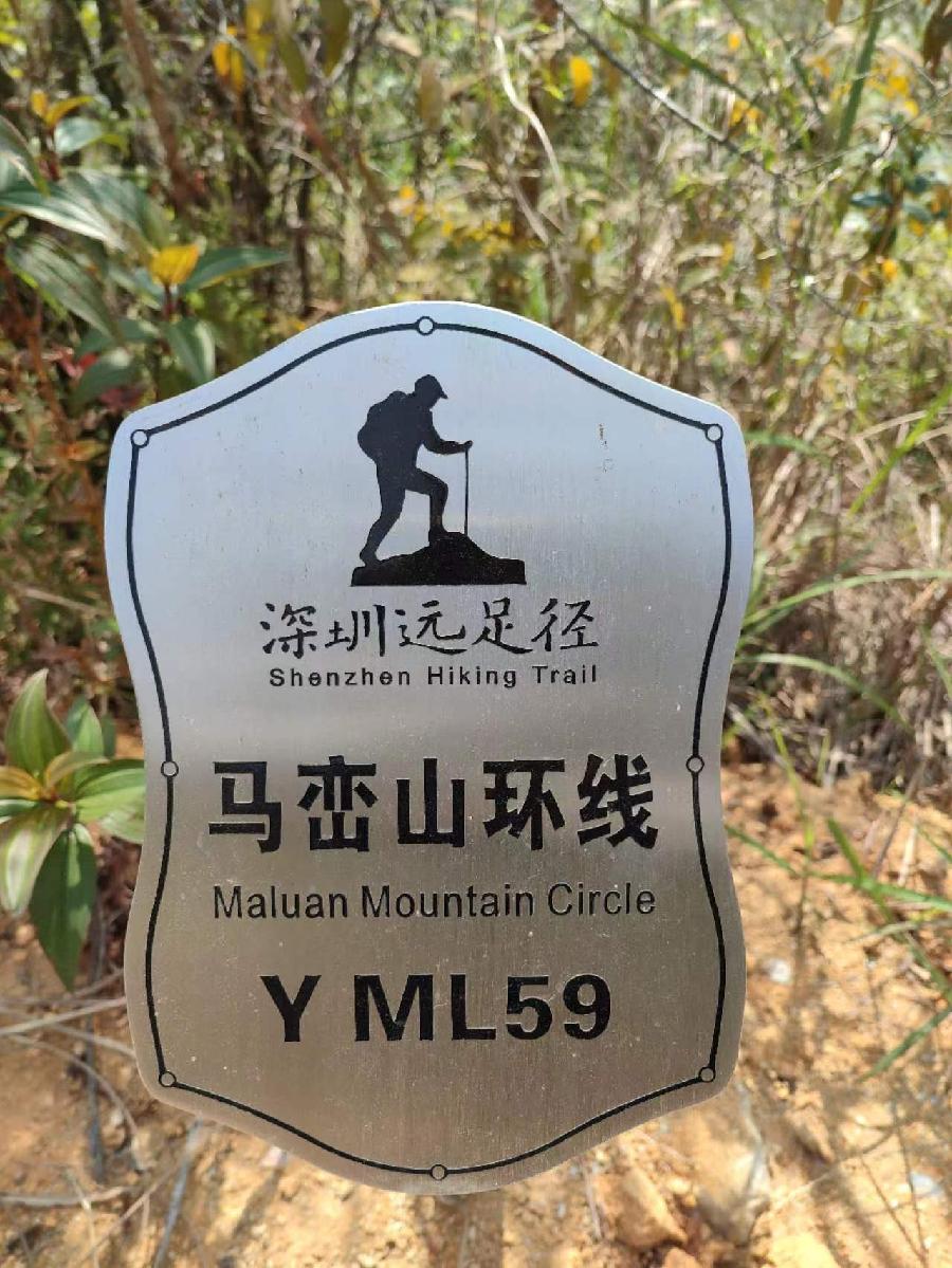 潘毅癸卯孟春诗三首（图15）