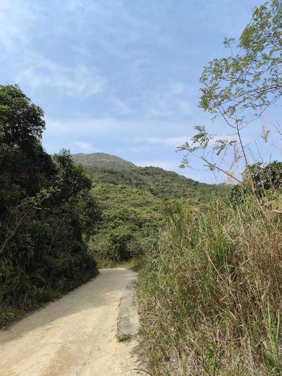 潘毅癸卯孟春诗三首（图16）