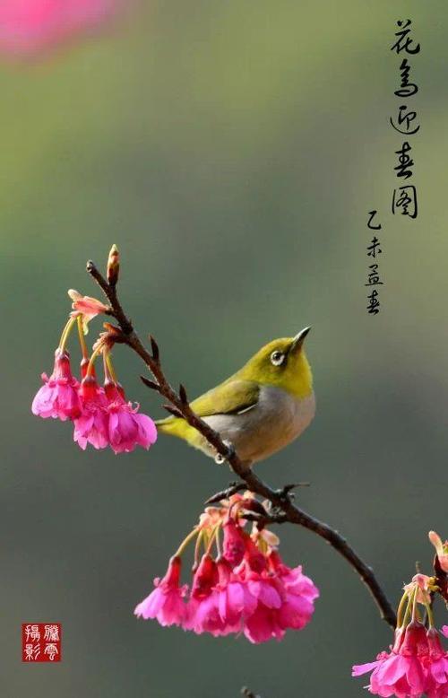 【神州源流诗苑】第879期[优秀近体诗]周刊（图8）