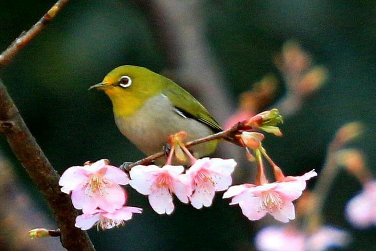 【神州源流诗苑】第879期[优秀近体诗]周刊（图10）