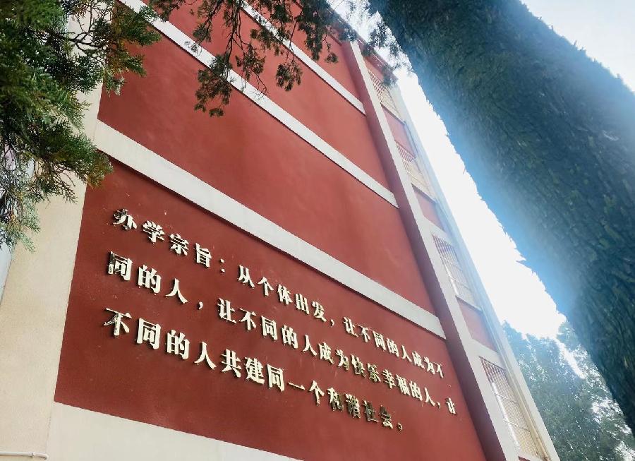 宣威六中麒麟分校王云龙古文体作文：言槐