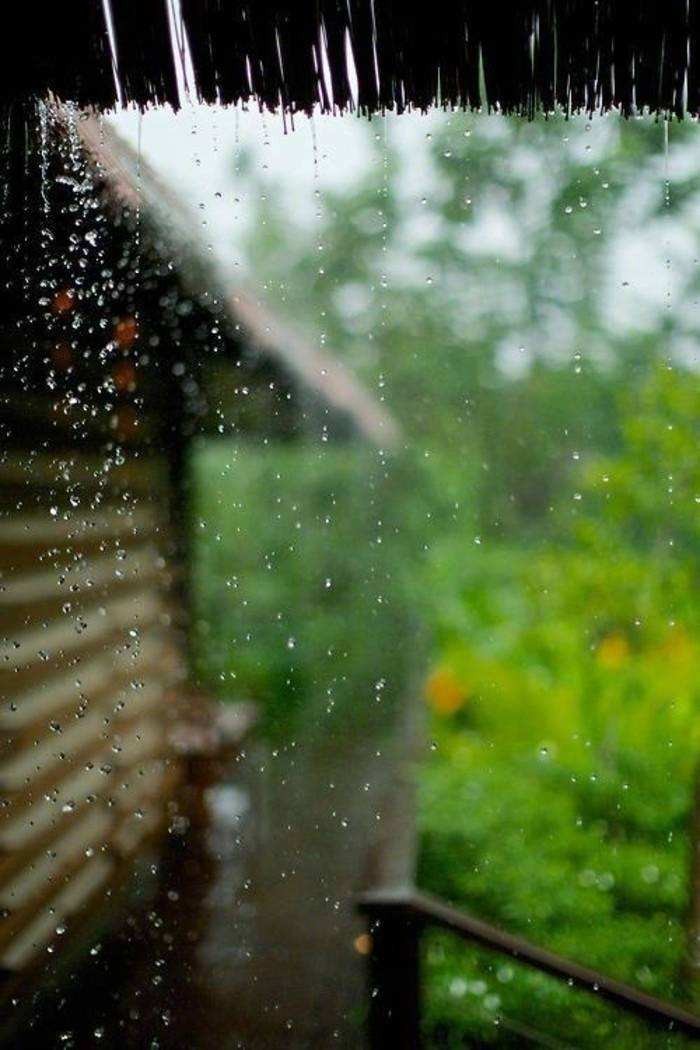 李卫朗诵【雨水把春晕开】作者/石志华（图4）