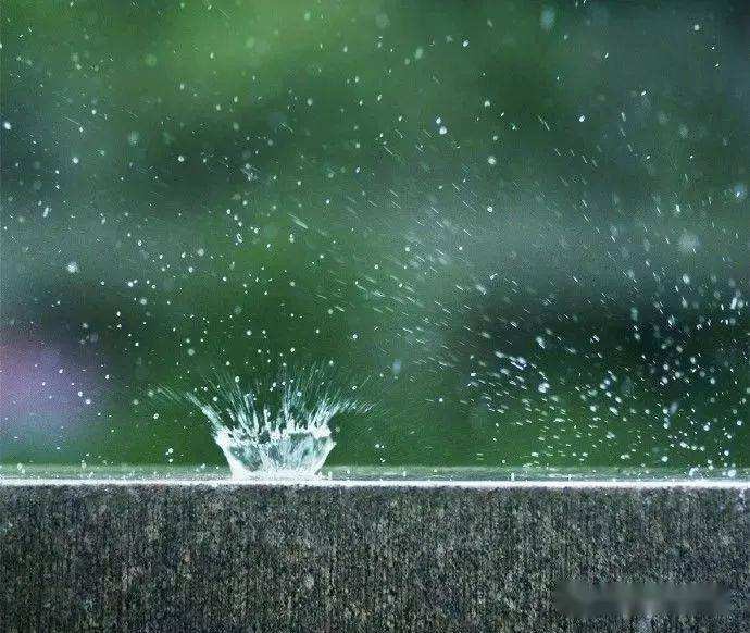 李卫朗诵【雨水把春晕开】作者/石志华(图7)