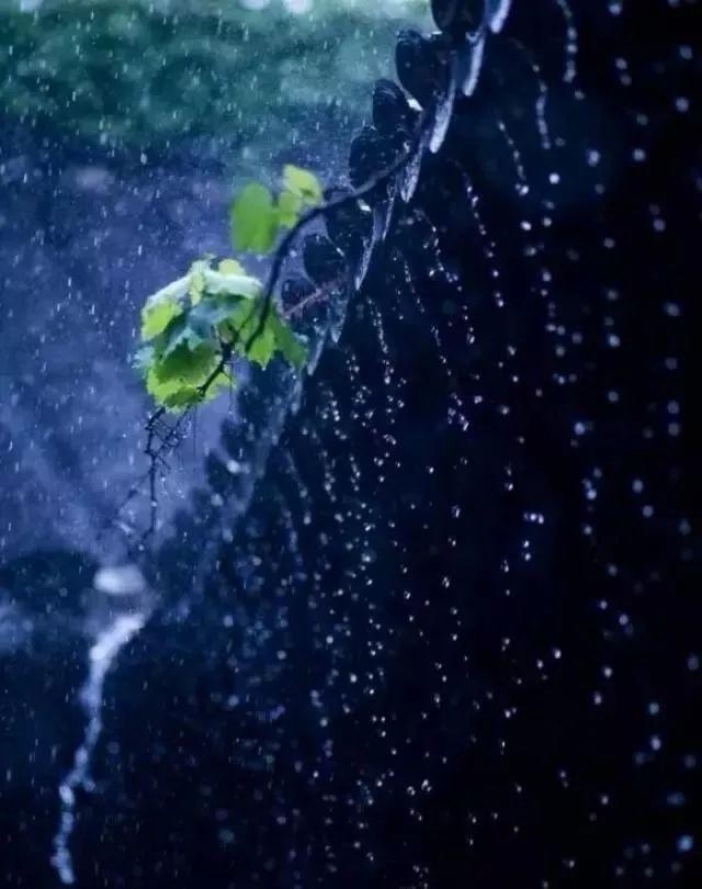 李卫朗诵【雨水把春晕开】作者/石志华(图5)