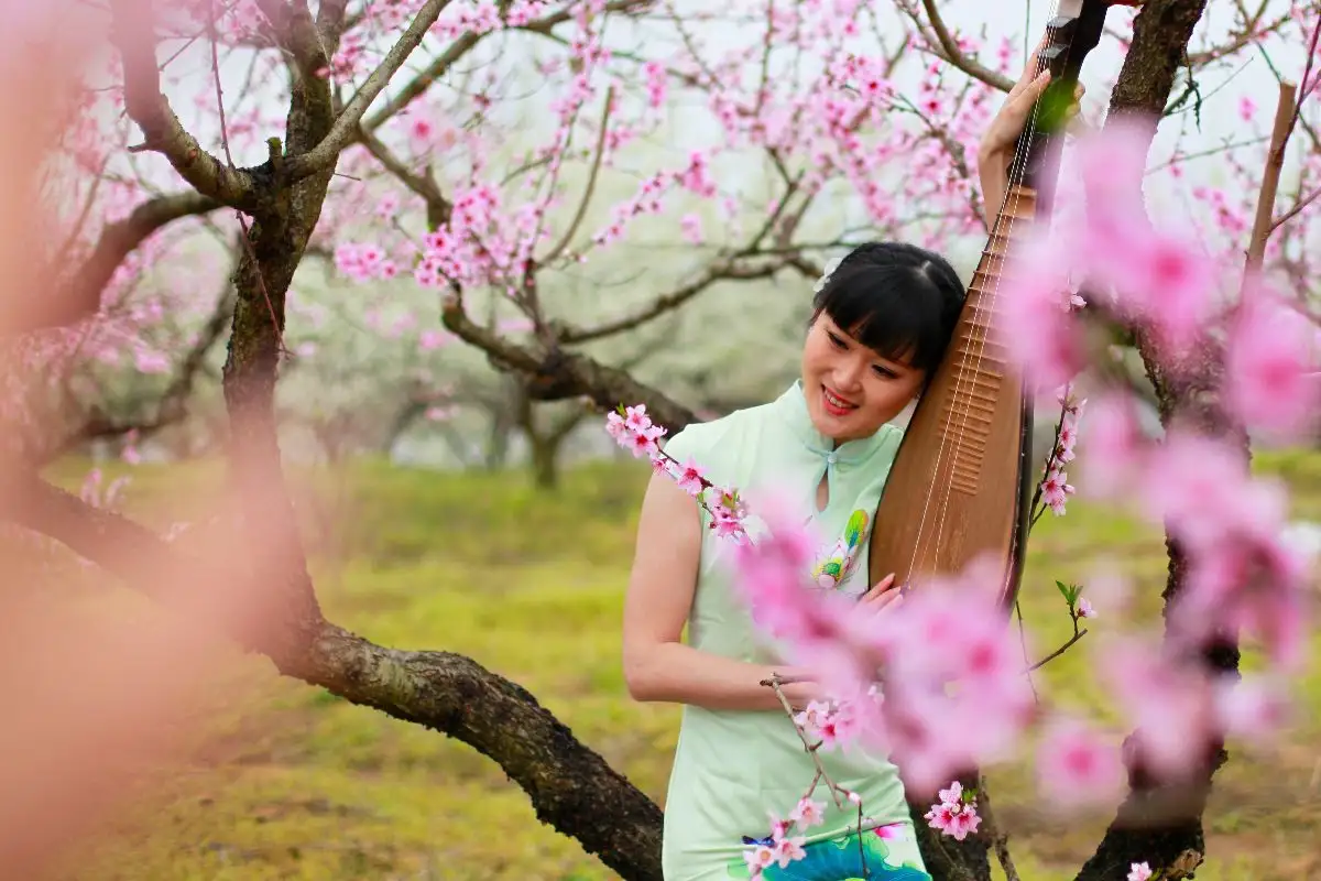若梅花开/寒冬随风去 暖阳送春归(图3)