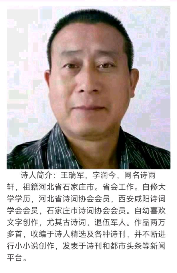 中华诗艺黑龙江分社●诗词微刊(三)(图41)