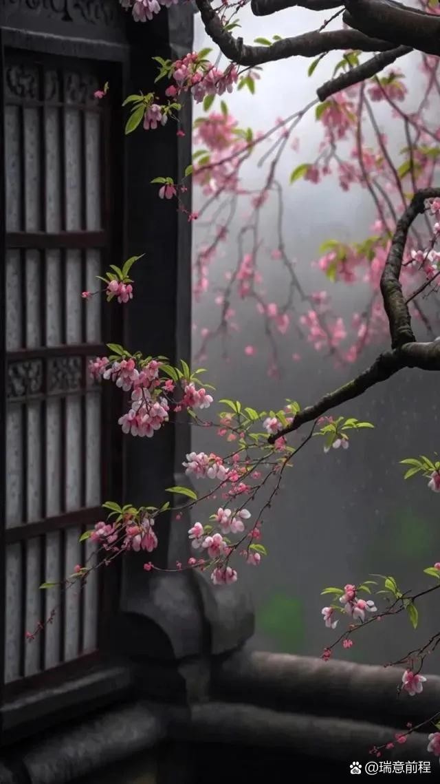 深蓝的雪朗诵【知心】作者/雷金钟（图5）