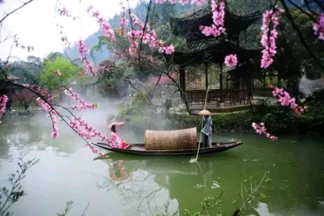 【新山东文学社】《桃花开了，怀念那一个雨天（外一首）》作者/大浪淘沙 主播/梅妃（图7）